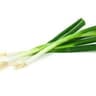 Spring Onion